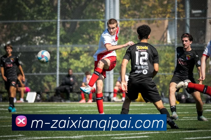 App Interface Preview